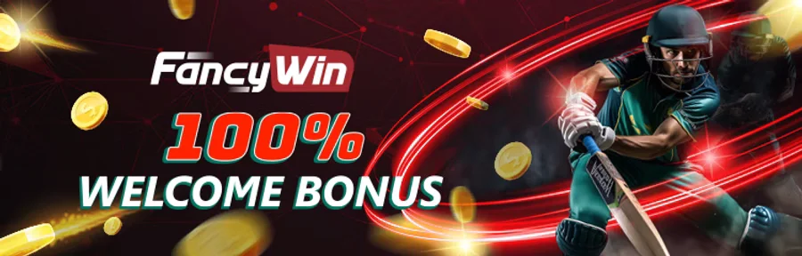 Fancywin